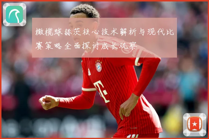 橄榄球赫茨核心技术解析与现代比赛策略全面探讨成长观察