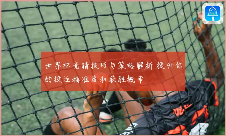 世界杯竞猜技巧与策略解析 提升你的投注精准度和获胜概率