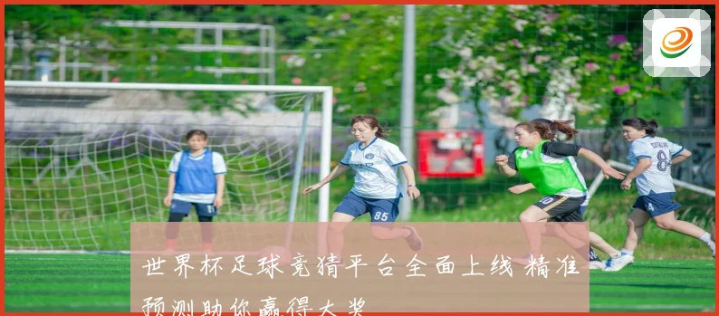 世界杯足球竞猜平台全面上线 精准预测助你赢得大奖