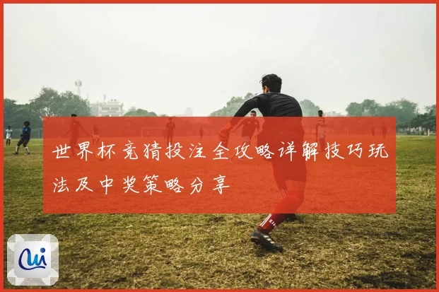 世界杯竞猜投注全攻略详解技巧玩法及中奖策略分享